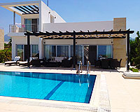 Villa Palm Tree