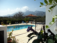 Villa Pinotage