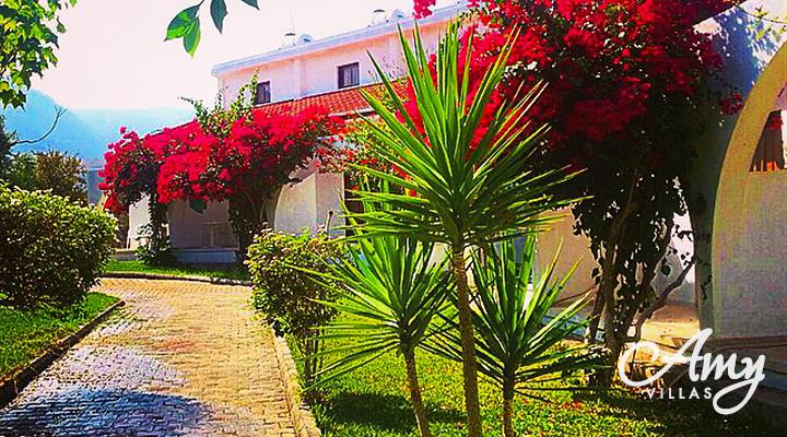 Bungalow Bare Hill - Alsancak, North Cyprus