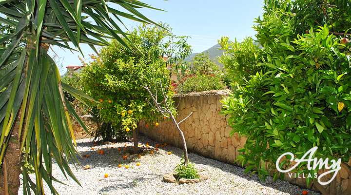 Villa Begonvil - Bellapais, North Cyprus