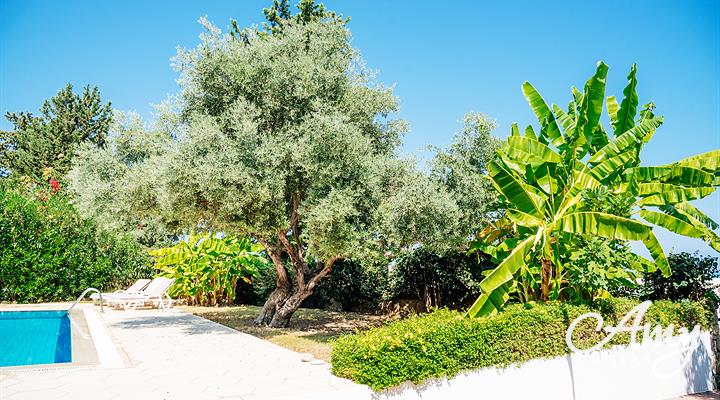 Villa Cyprium - Edremit, North Cyprus