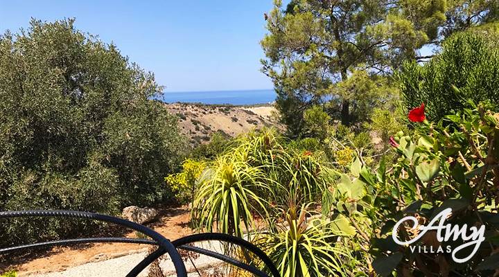 Villa Orkide - Esentepe, North Cyprus